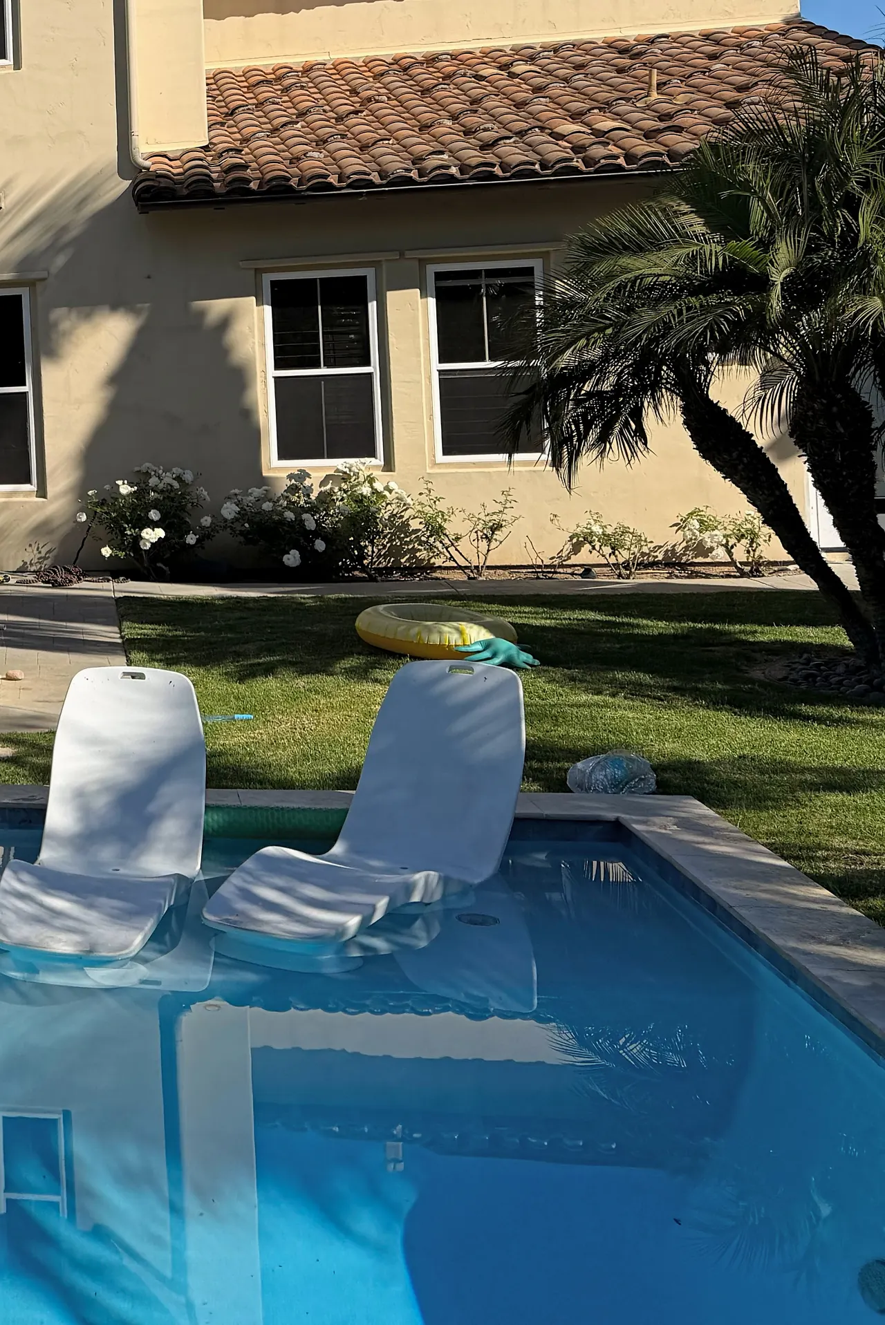 Two loungers in the shallow water of the finished pool, with the back of the house behind